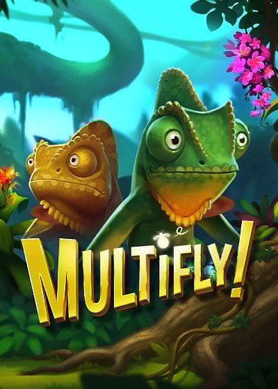 Multifly